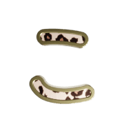 010