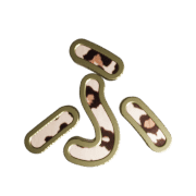 028