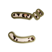060