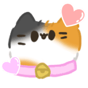 003