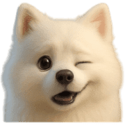 004