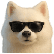 007
