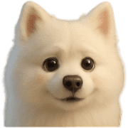 009