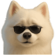 010