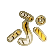 078