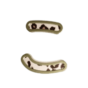 010