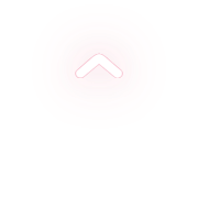 231