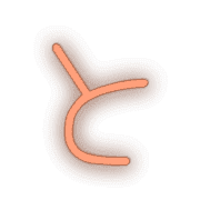 020