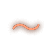 224