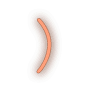 235