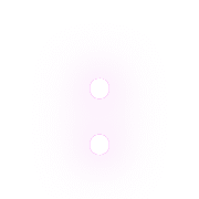 244