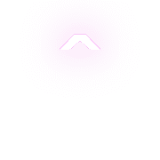 231
