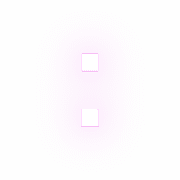 244
