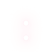 244