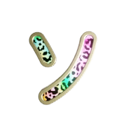 095