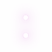 244