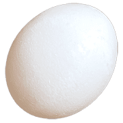 026