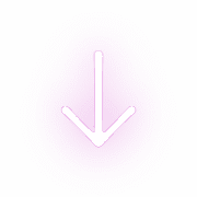 261