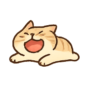 019
