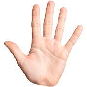 025