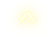 231