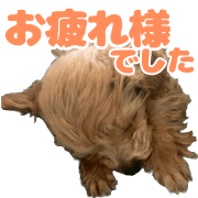 009