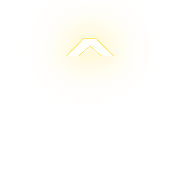 231