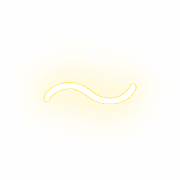 224