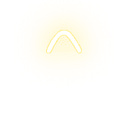 231