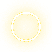 264