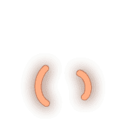 048