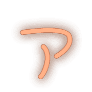081