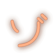 145