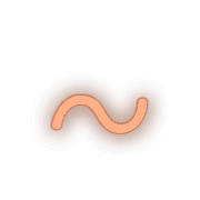 224