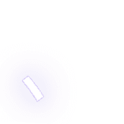 256