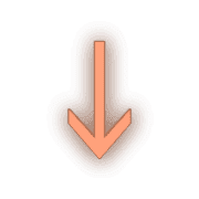 261