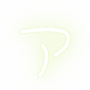 081