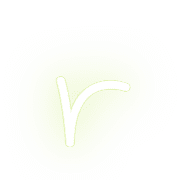 205