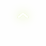 231