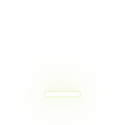 250
