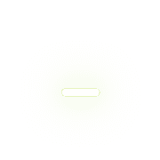 251