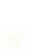 256
