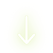 261
