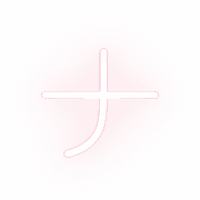 101