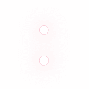 244