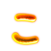 010
