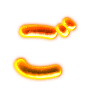 060