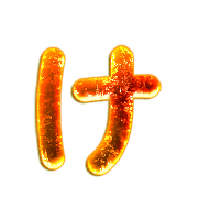 009