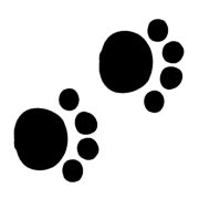 040