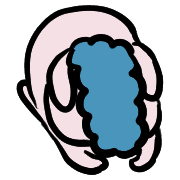 020